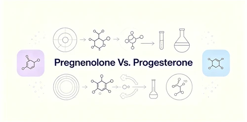 Kehamilan Vs. Progesteron
